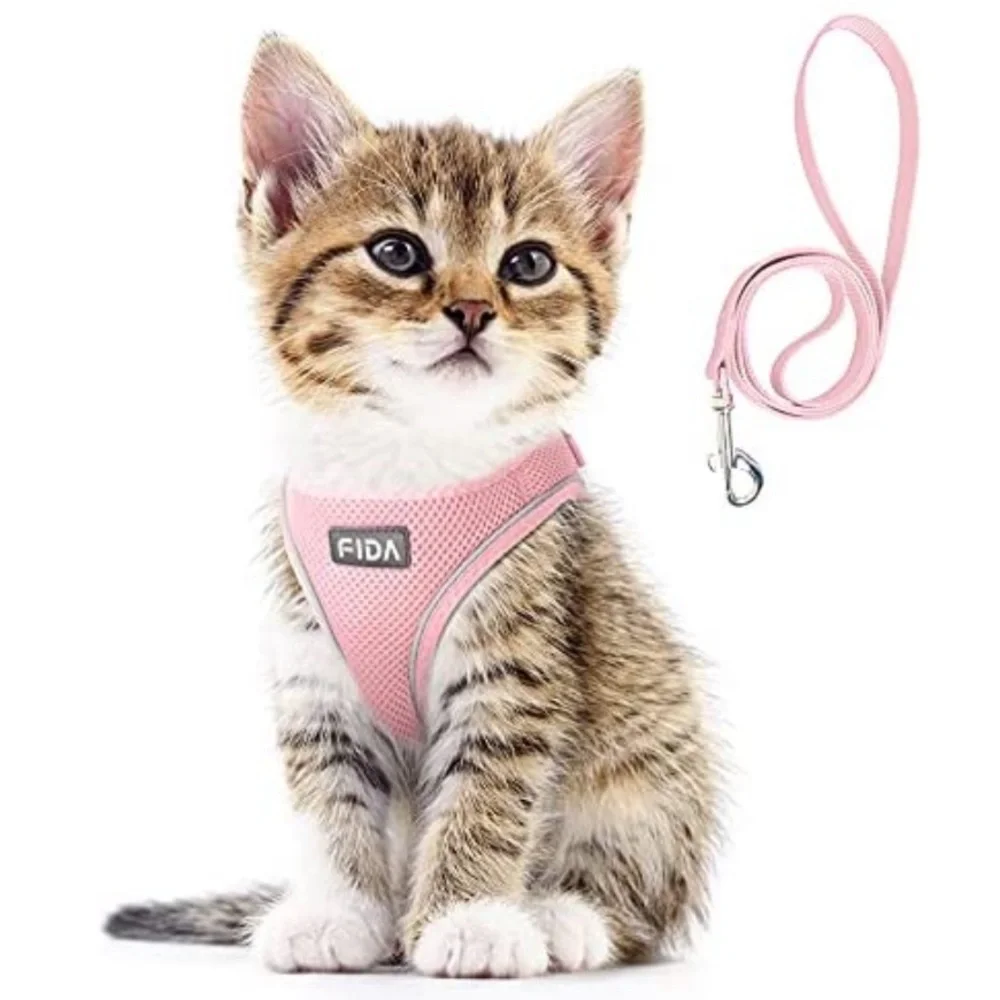 Pet Harnesses and Leashes (2 available)